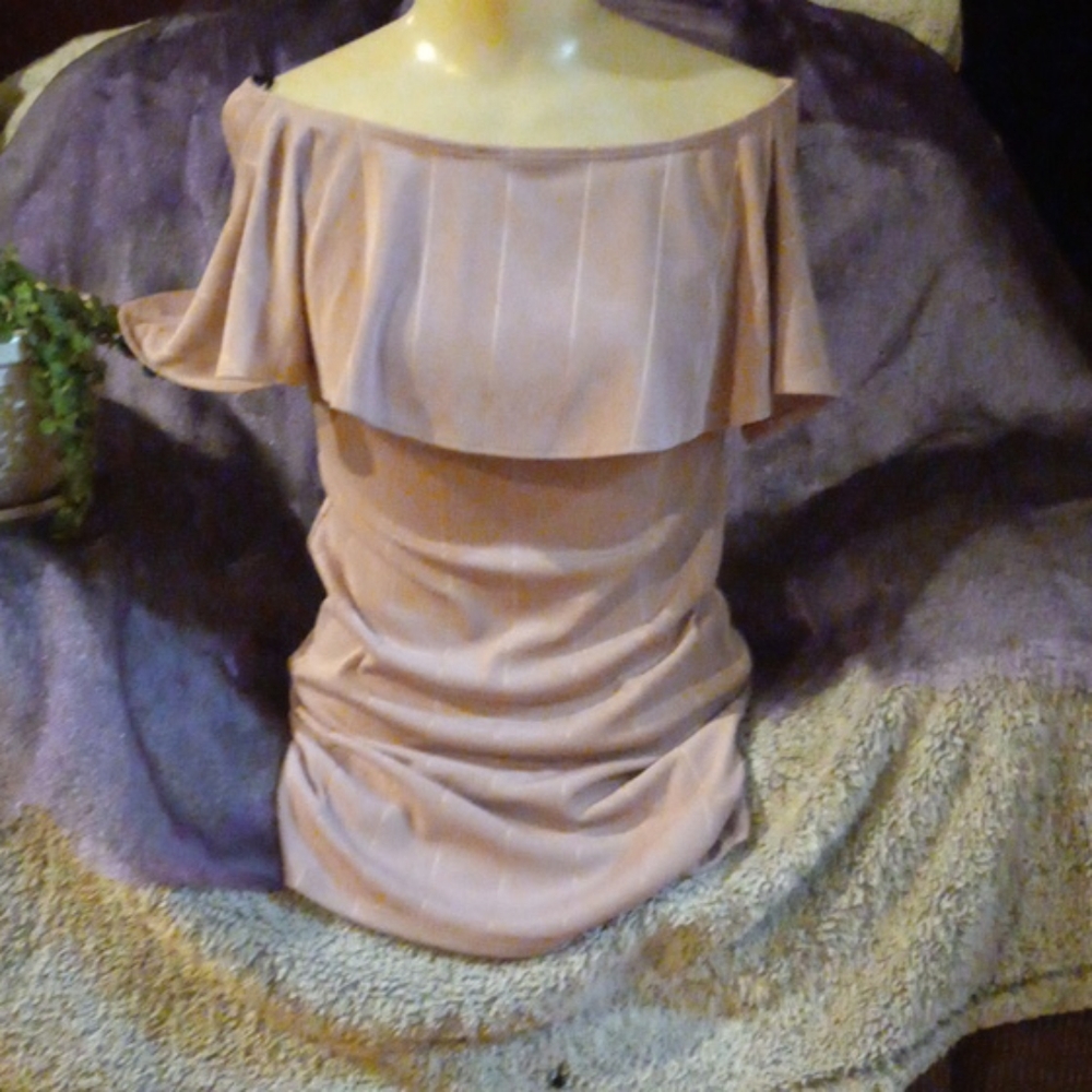 Forever Twenty-one  gorgeous 😍 blush blouse